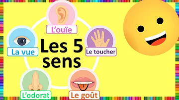 Quels sont les 5 sens de l'être humain